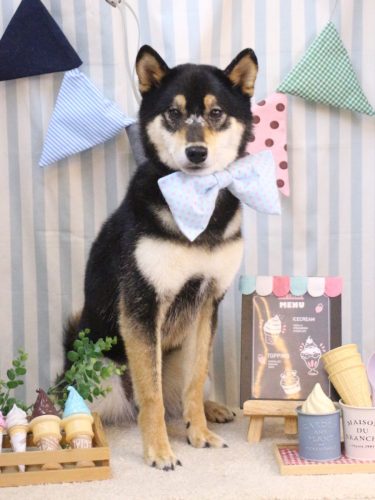 20250506ソラくん